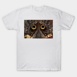 Owl Butterfly, Caligo T-Shirt